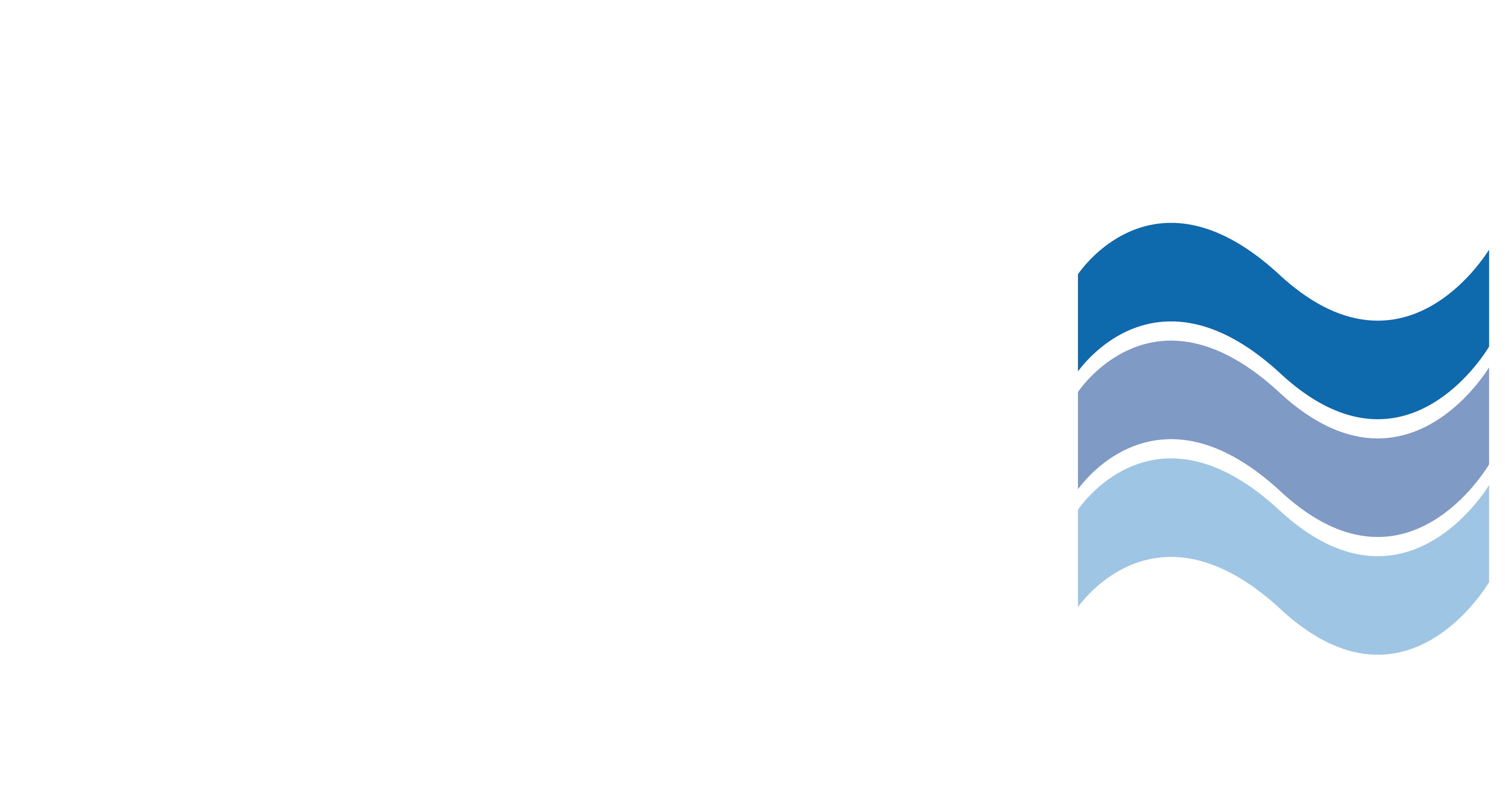 Logo–IMGS-White